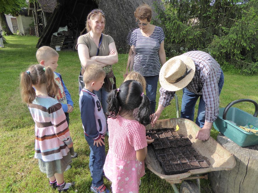 Plantation en godets